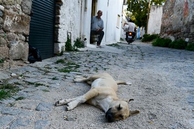 Bergama