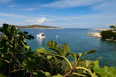 2024 ☆ Aegean ☆ Karaburun Peninsula (Turkey)