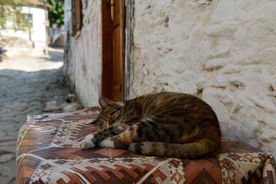 Sirince