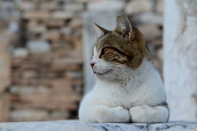 Ephesus