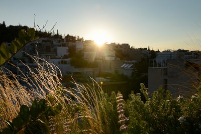 Makriyanni, Athens