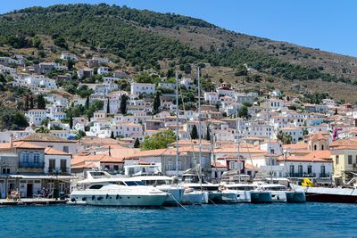 Hydra