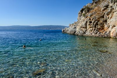 Hydra