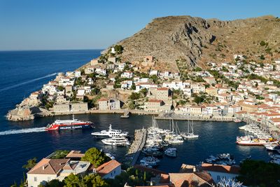 Hydra