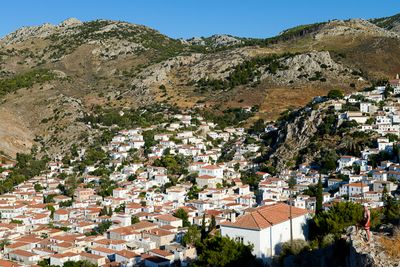 Hydra