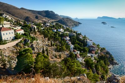 Hydra
