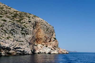 Hydra