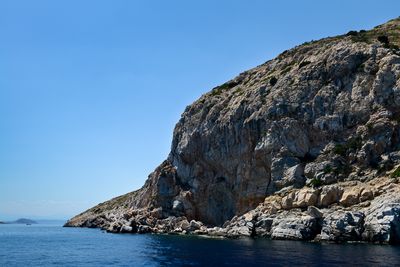 Hydra