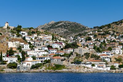 Hydra
