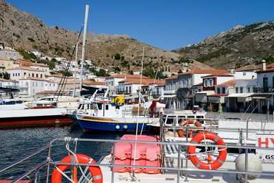 Hydra