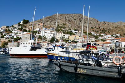 Hydra