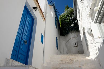 Hydra