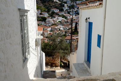 Hydra