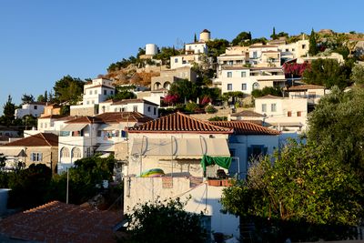 Hydra
