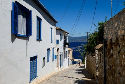 Hydra