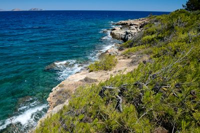 Spetses