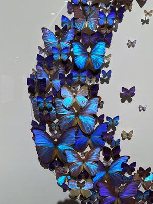 g13/62/12862/3/175061376.7d50b2be.JPEG
