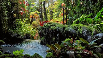 Cloud Forest Secret Garden