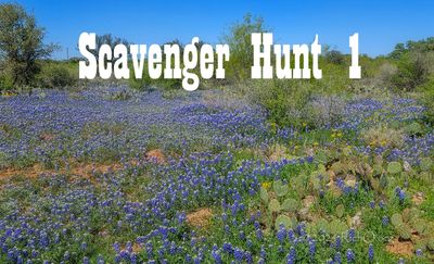 ScavengerHunt1.jpg