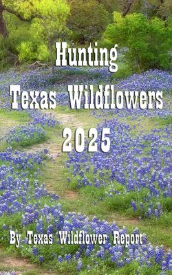 Texas Wildflower Report 2025
