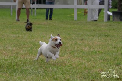 WestCoastCup-2024009.jpg