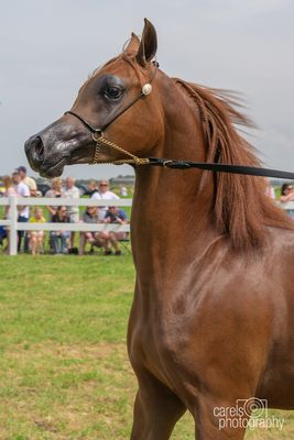 WestCoastCup-2024029.jpg