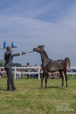 WestCoastCup-2024049.jpg