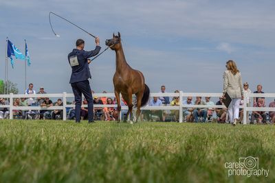 WestCoastCup-2024080.jpg