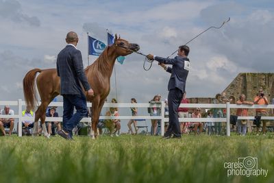 WestCoastCup-2024081.jpg