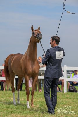 WestCoastCup-2024084.jpg