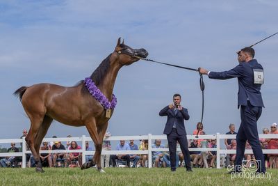 WestCoastCup-2024097.jpg