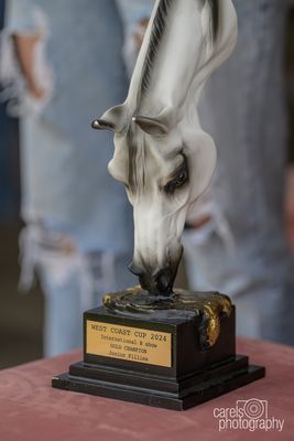 WestCoastCup-2024099.jpg