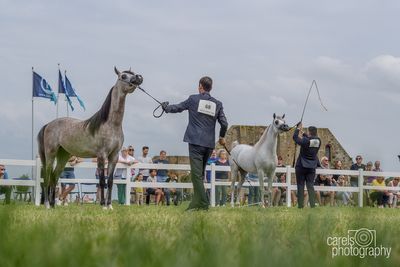 WestCoastCup-2024122.jpg