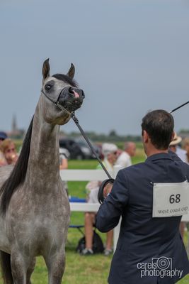 WestCoastCup-2024123.jpg