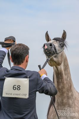 WestCoastCup-2024127.jpg
