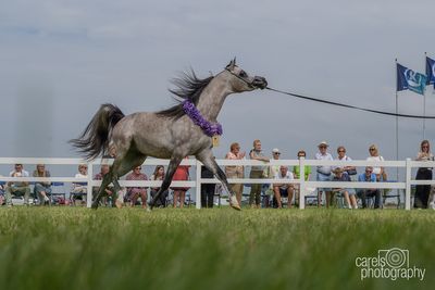 WestCoastCup-2024132.jpg