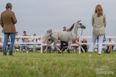 WestCoastCup-2024134.jpg