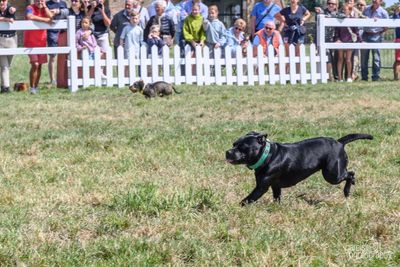 WestCoastCup-2025080.jpg