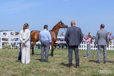 WestCoastCup-2025117.jpg