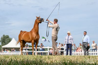 WestCoastCup-2025138.jpg