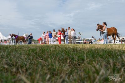 WestCoastCup-2025144.jpg