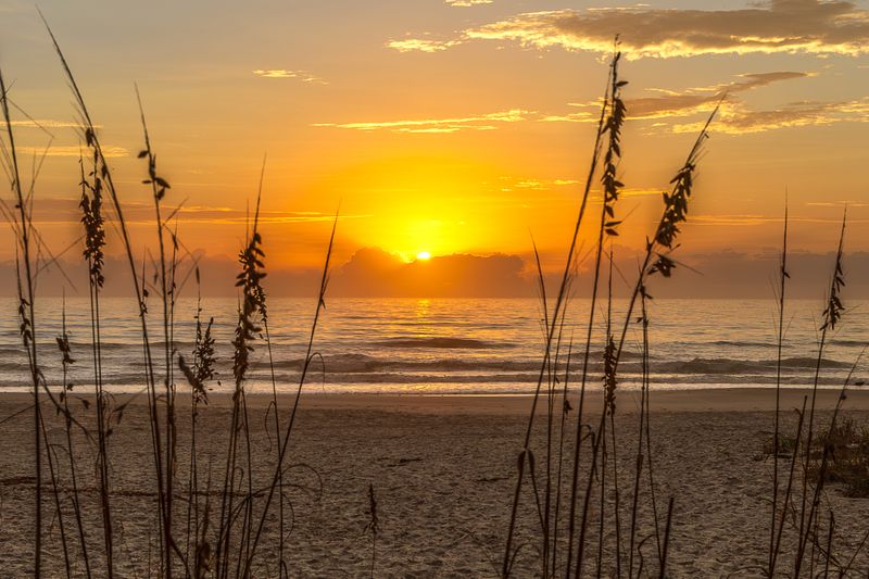 Coco Sunrise 2