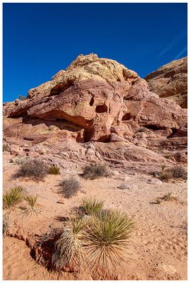 White Domes Trail