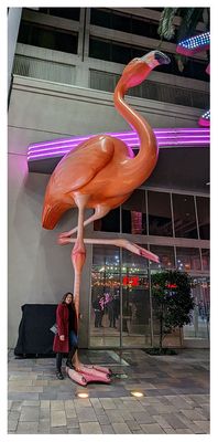 The Flamingo