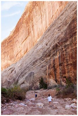 Lower Muley Twist