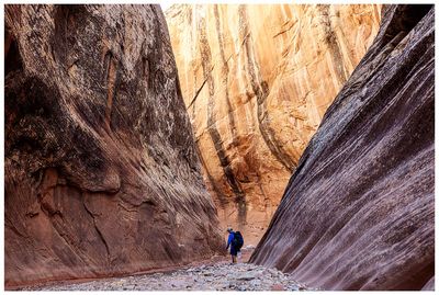 Some nice desert varnish and reflected light on the canyon wall