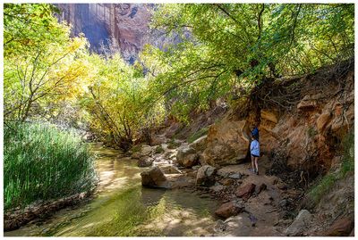 Lower Calf Creek Falls Trail