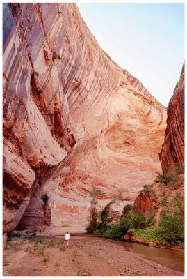 Coyote Gulch