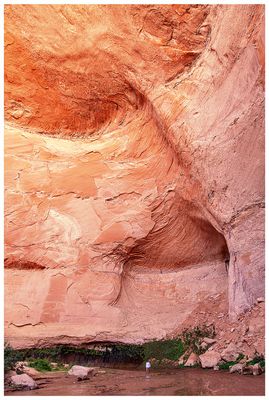 Coyote Gulch