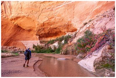 Coyote Gulch